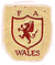 fa of wales crest 1920